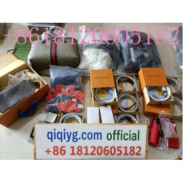 Offizieller WhatsApp...